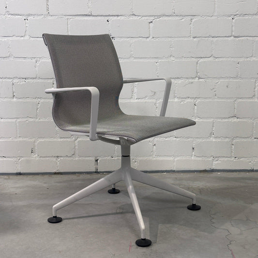 Vitra Physix weiß / silbergrau