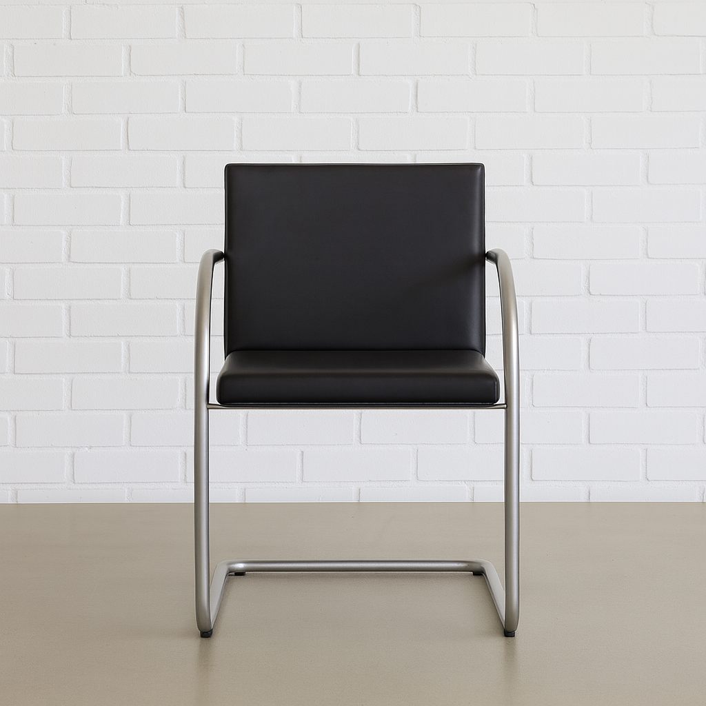 Walter Knoll Brno Armlehnstuhl Rundrohr