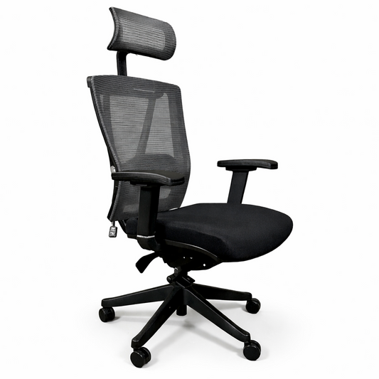 FLEX Ergo1 schwarz [NEUWARE]
