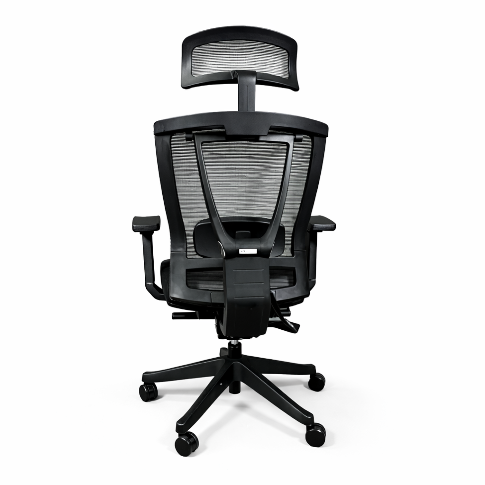 FLEX Ergo1 schwarz [NEUWARE]
