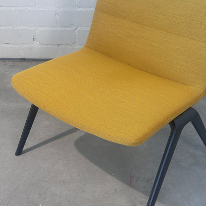 Brunner Loungesessel A-Lounge gelb/schwarz