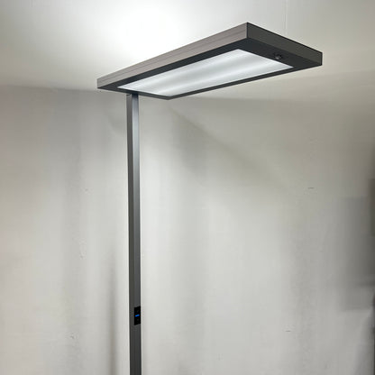 Waldmann Lavigo LED Stehlampe silber