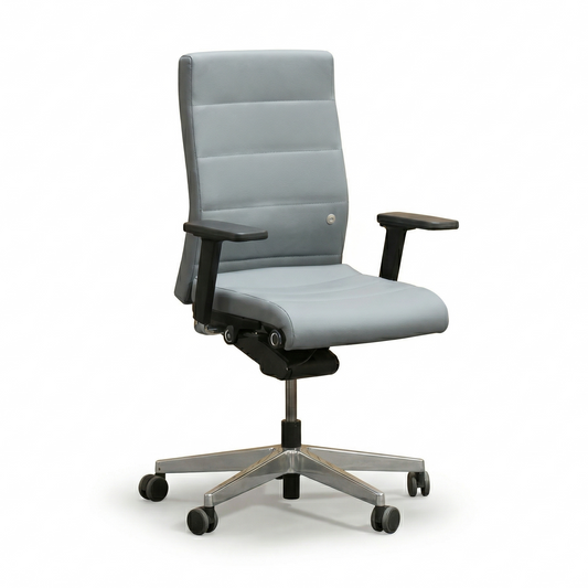 Interstuhl Champ platingrau