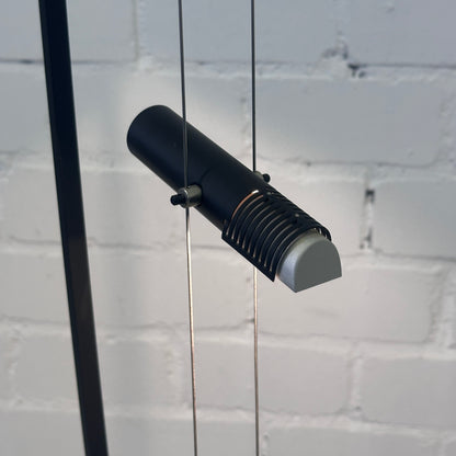 Artikelanlage D'Arco_[kein Wert]