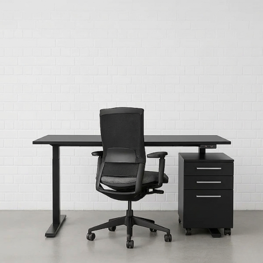 FLEX EHV-1 Schreibtisch schwarz elektrisch höhenverstellbar [NEUWARE]