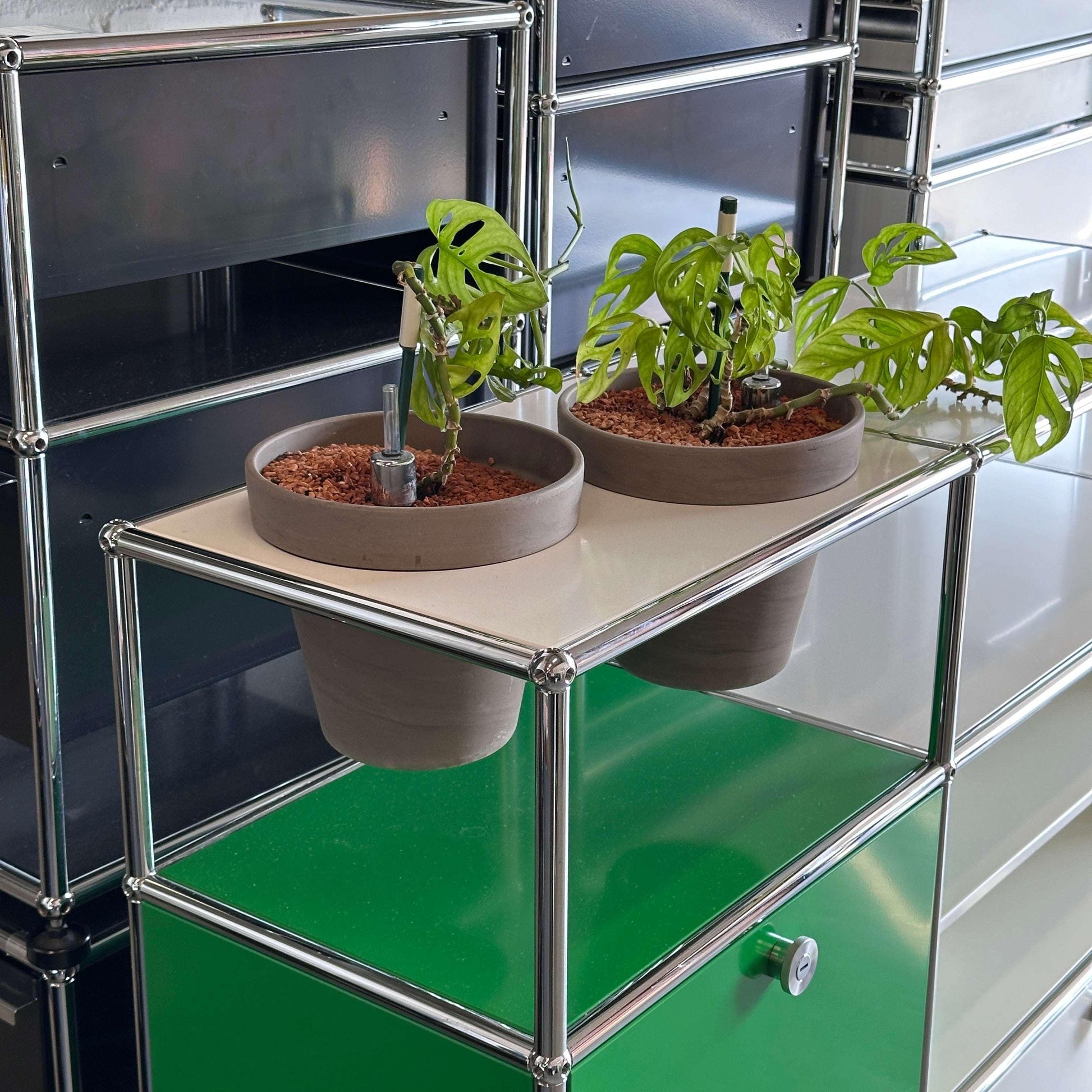 USM Haller Sideboard 3x3 weiß grün mit Pflanzeinsätzen und Monstera Pflanzen auf Ablagefläche