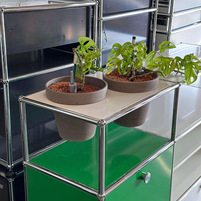 USM Haller Sideboard 3x3 weiß grün mit Pflanzeinsätzen und Monstera Pflanzen auf Ablagefläche
