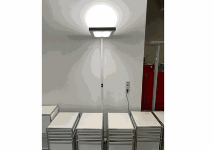 Waldmann Stehlampe LED floor lamp with dual switchable lights and sensor emitting soft 4000K light against wall
