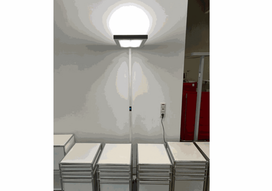 Waldmann Stehlampe LED floor lamp with dual switchable lights and sensor emitting soft 4000K light against wall